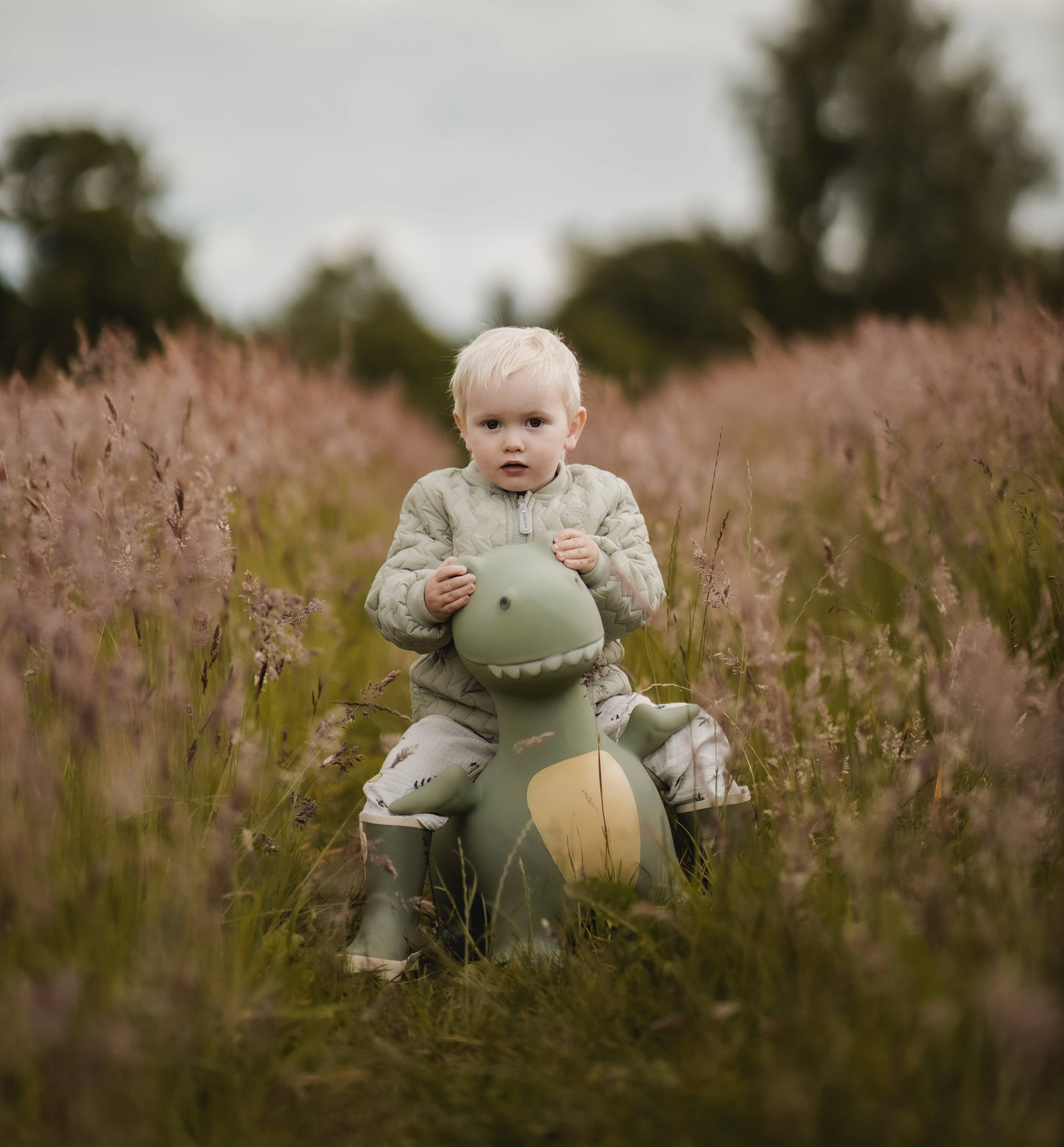 Hoppedyr - Dinosauren Dexter