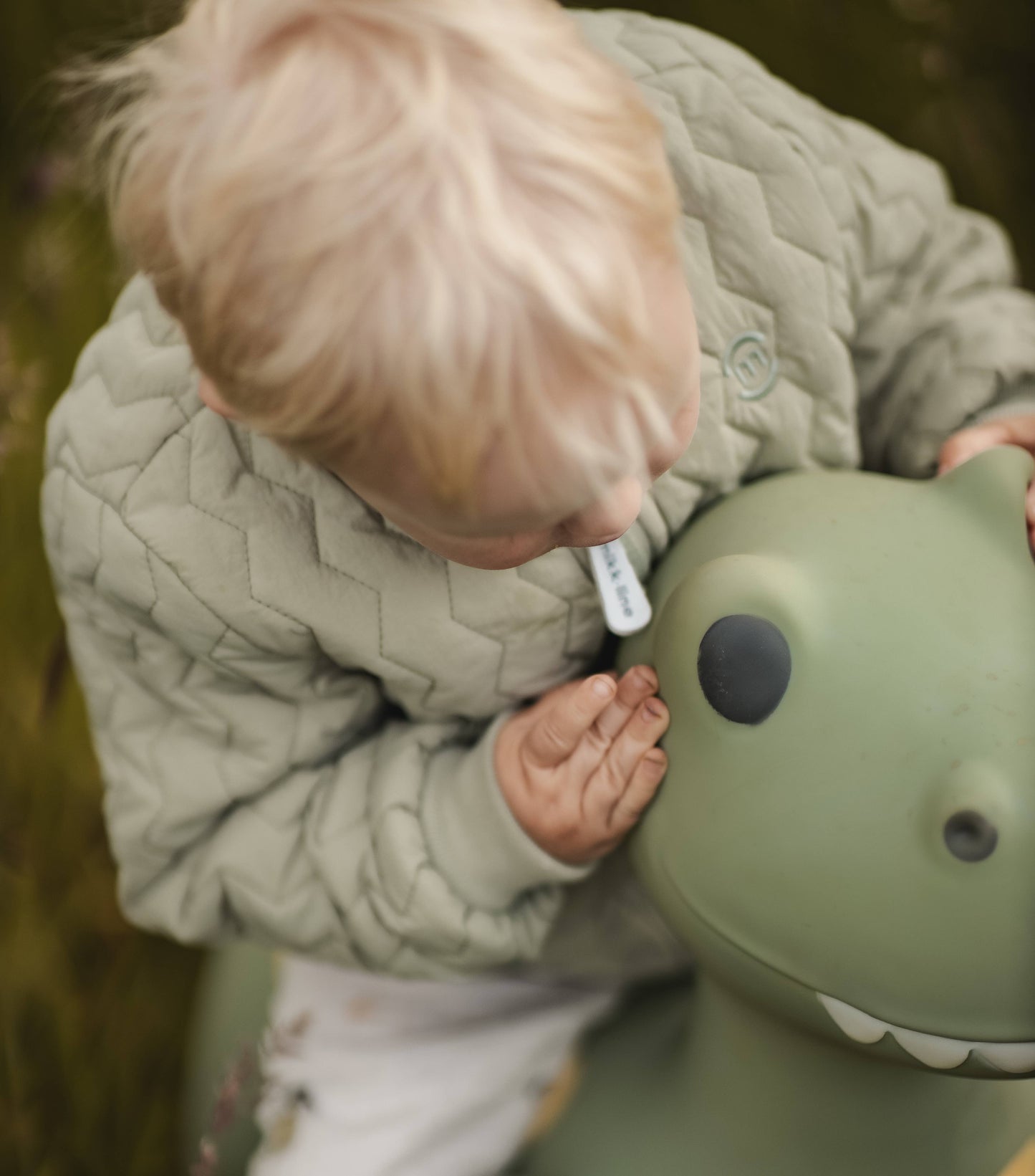 Hoppedyr - Dinosauren Dexter